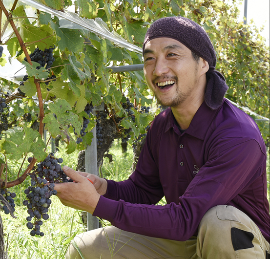 山梨ワイン ワイナリー ワイン 醸造家 甲州ワイン 日本ワイン ワインストーリー